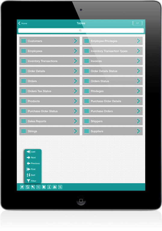 Access iPad Screenshot 3