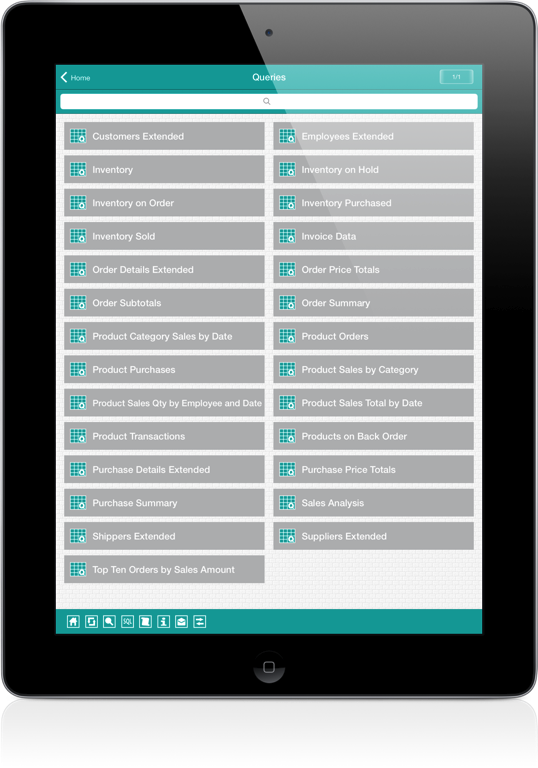 Access iPad Screenshot 7