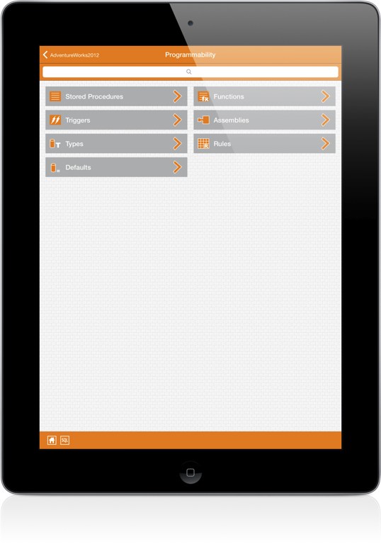 SqlServer iPad Screenshot 4