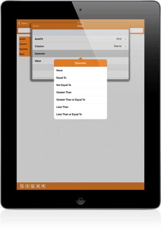 SqlServer iPad Screenshot 10