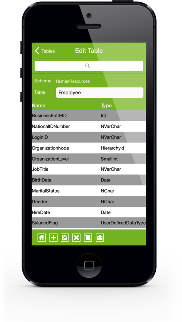 SqlServer iPhone Screenshot 7